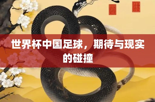 世界杯中国足球，期待与现实的碰撞