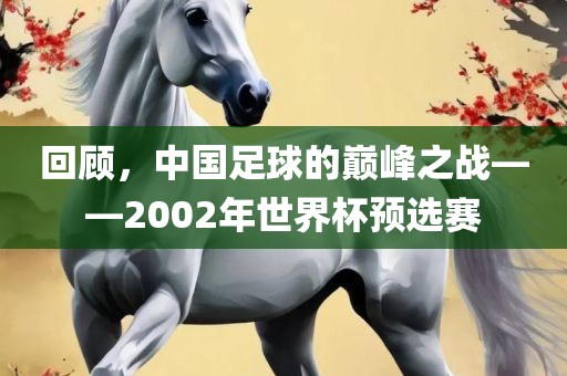 回顾，中国足球的巅峰之战——2002年世界杯预选赛