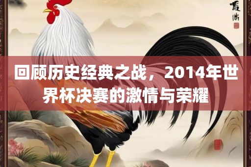 回顾历史经典之战，2014年世界杯决赛的激情与荣耀