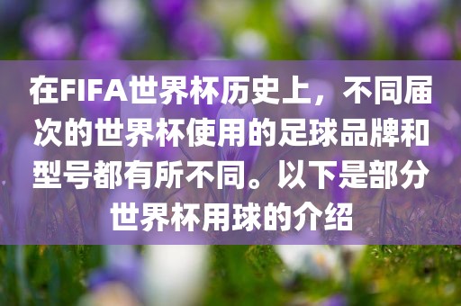 在FIFA世界杯历史上，不同届次的世界杯使用的足球品牌和型号都有所不同。以下是部分世界杯用球的介绍