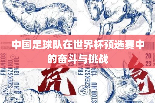 中国足球队在世界杯预选赛中的奋斗与挑战
