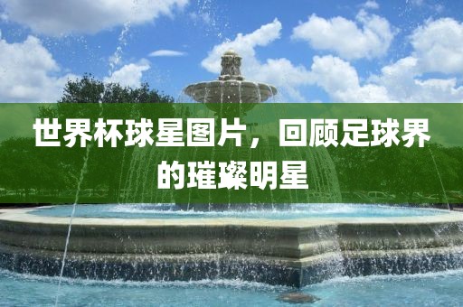 世界杯球星图片，回顾足球界的璀璨明星