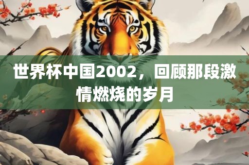 世界杯中国2002，回顾那段激情燃烧的岁月