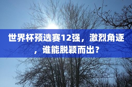 世界杯预选赛12强，激烈角逐，谁能脱颖而出？