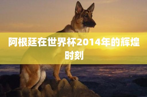 阿根廷在世界杯2014年的辉煌时刻