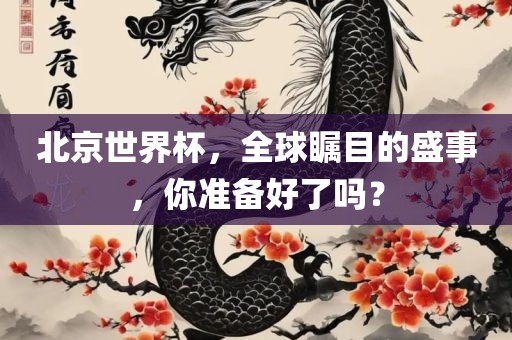 北京世界杯，全球瞩目的盛事，你准备好了吗？