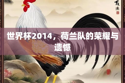 世界杯2014，荷兰队的荣耀与遗憾
