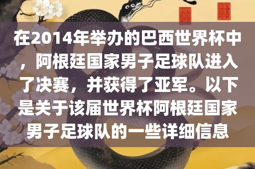 在2014年举办的巴西世界杯中，阿根廷国家男子足球队进入了决赛，并获得了亚军。以下是关于该届世界杯阿根廷国家男子足球队的一些详细信息