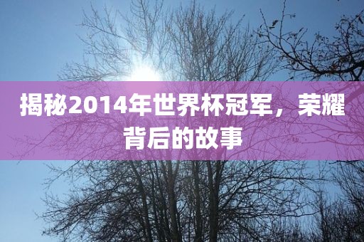 揭秘2014眉山市正发家政服务有限公司年世界杯冠军，荣耀背后的故事