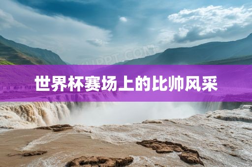 世界杯赛场上的比帅风采
