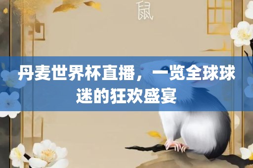 丹麦世界杯直播，一览全球球迷的狂欢盛宴