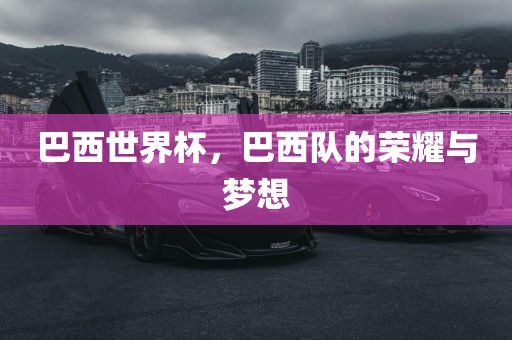 巴西世界杯，巴西队的荣耀与梦想