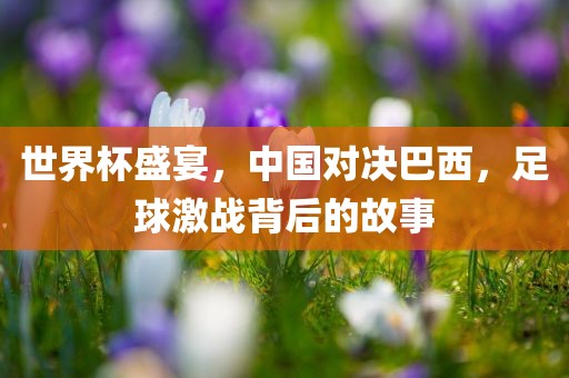世界杯盛宴，中国对决巴西，足球激战背后的故事