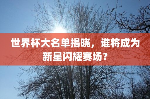 世界杯大名单揭晓，谁将成为新星闪耀赛场？