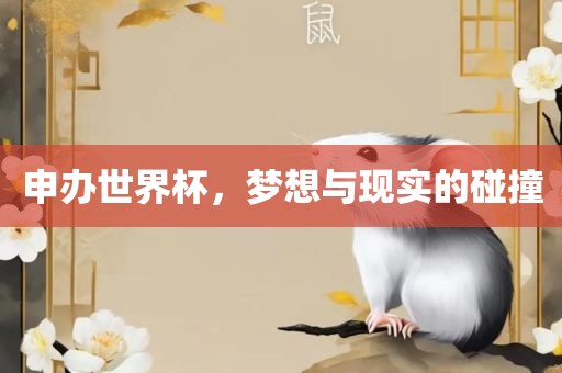 申办世界杯，梦想与现实的碰撞