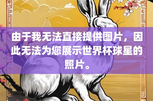 由于我无法直接提供图片，因此无法为您展示世界杯球星的照片。
