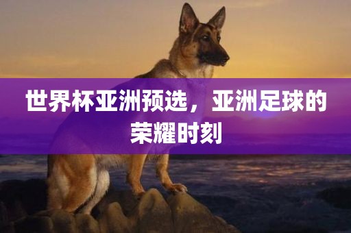 世界杯亚洲预选，亚洲足球的荣耀时刻