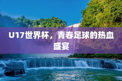 U17世界杯，青春足球的热血盛宴