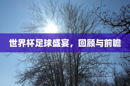 世界杯足球盛宴，回顾与前瞻