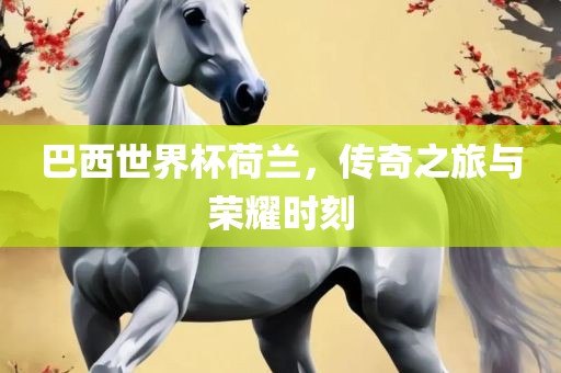 巴西世界杯荷兰，传奇之旅与荣耀时刻