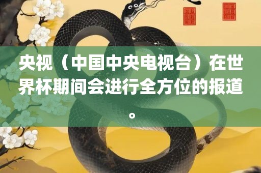 央视（中国中央电视台）在世界杯期间会进行全方位的报道。