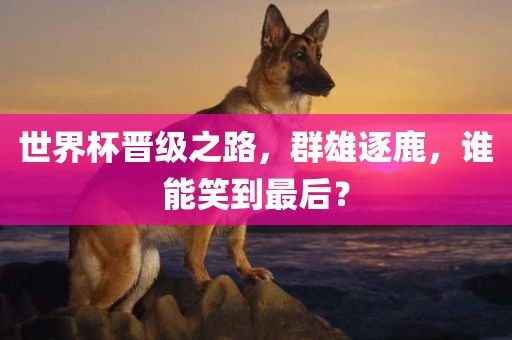 世界杯晋级之路，群雄逐鹿，谁能笑到最后？