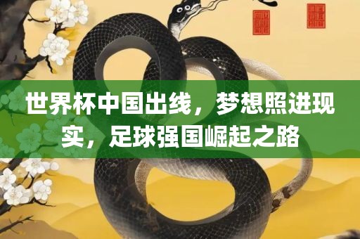 世界杯中国出线，梦想照进现实，足球强国崛起之路
