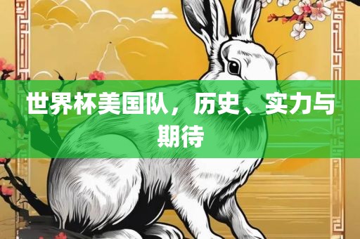 世界杯美国队，历史、实力与期待