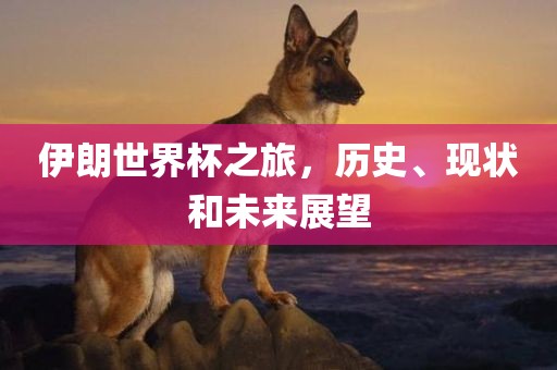 伊朗世界杯之旅，历史、现状和未来展望