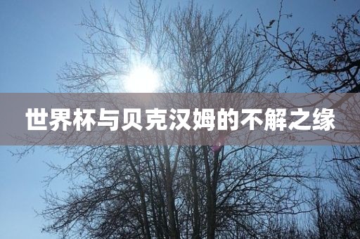 世界杯与贝克汉姆的不解之缘