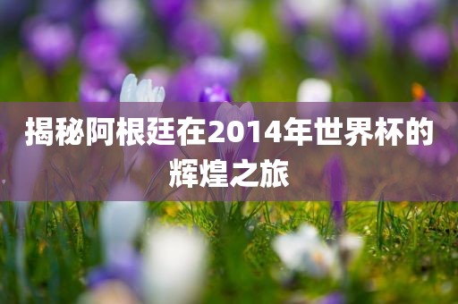 揭秘阿根廷在2014年世界杯的辉煌之旅