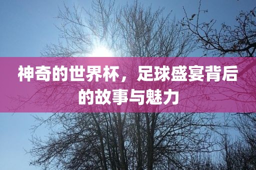 神奇的世界杯，足球盛宴背后的故事与魅力