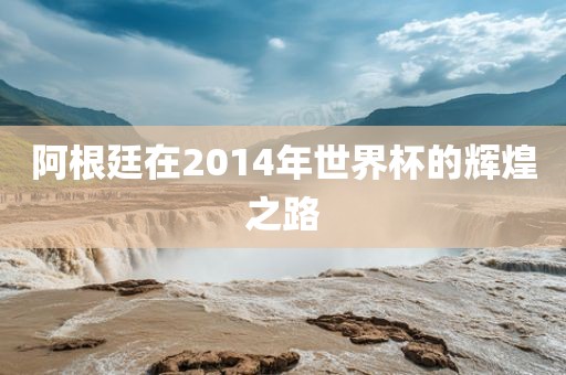 阿根廷在2014年世界杯的辉煌之路