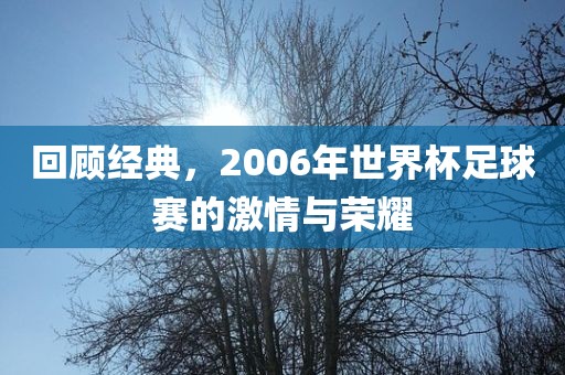 回顾经典，2006年世界杯足球赛的激情与荣耀