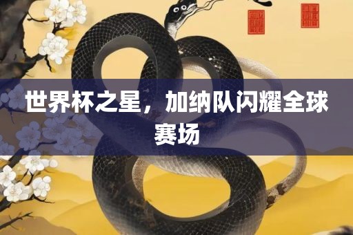 世界杯之星，加纳队闪耀全球赛场