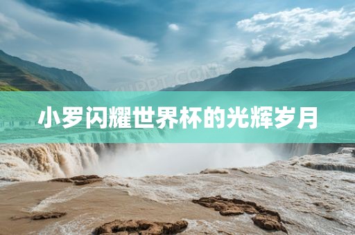 小罗闪耀世界杯的光辉岁月