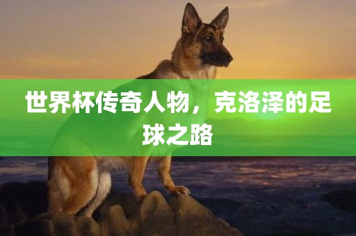 世界杯传奇人物，克洛泽的足球之路