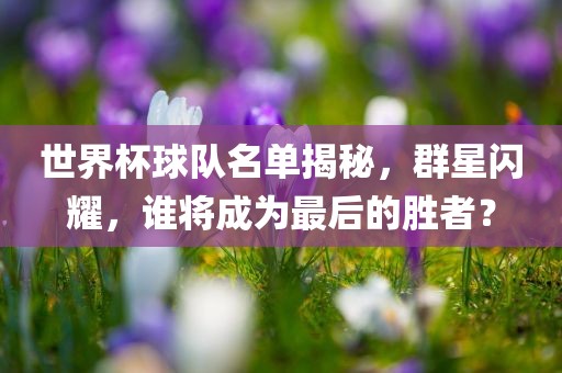 世界杯球队名单揭秘，群星闪耀，谁将成为最后的胜者？