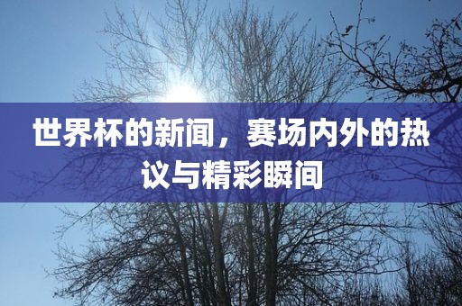 世界杯的新闻，赛场内外的热议与精彩瞬间