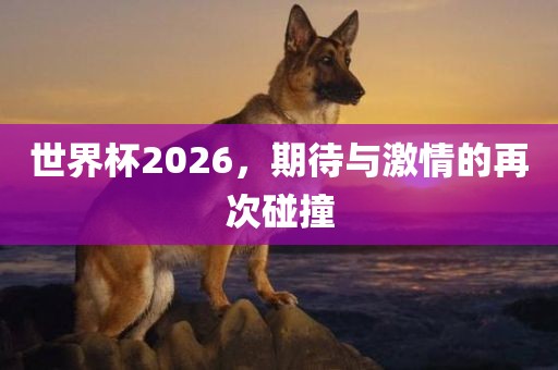 世界杯2026，期待与激情的再次碰撞