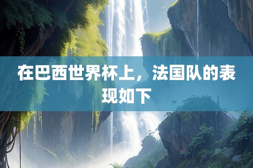 在巴西世界杯上，法国队的表现如下