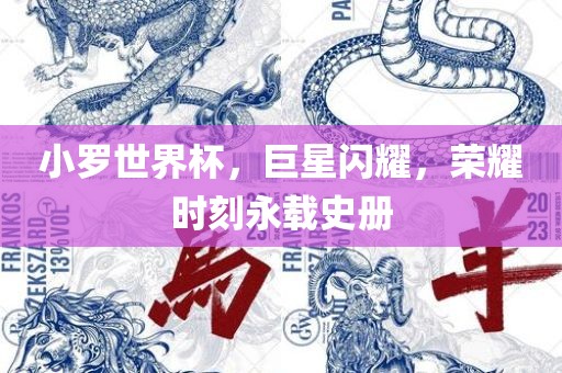 小罗世界杯，巨星闪耀，荣耀时刻永载史册