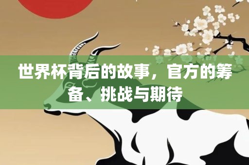 世界杯背后的故事，官方的筹备、挑战与期待