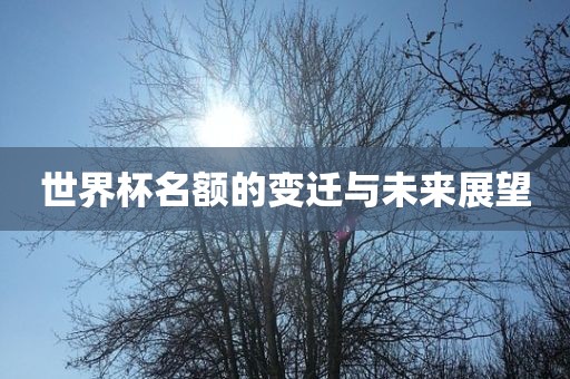 世界杯名额的变迁与未来展望
