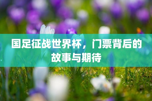 国足征战世界杯，门票背后的故事与期待