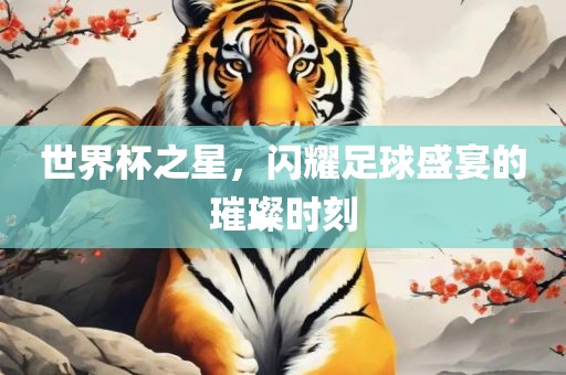世界杯之星，闪耀足球盛宴的璀璨时刻