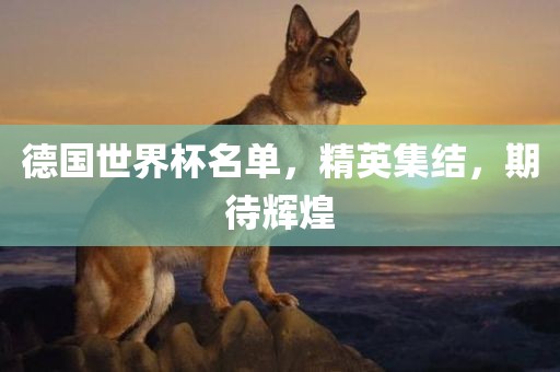 德国世界杯名单，精英集结，期待辉煌