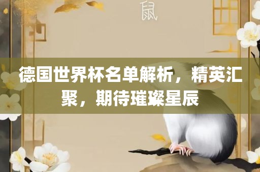 德国世界杯名单解析，精英汇聚，期待璀璨星辰