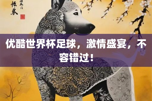 优酷世界杯足球，激情盛宴，不容错过！