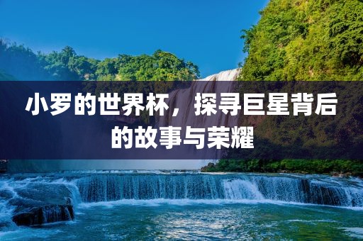 小罗的世界杯，探寻巨星背后的故事与荣耀